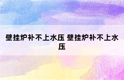 壁挂炉补不上水压 壁挂炉补不上水压